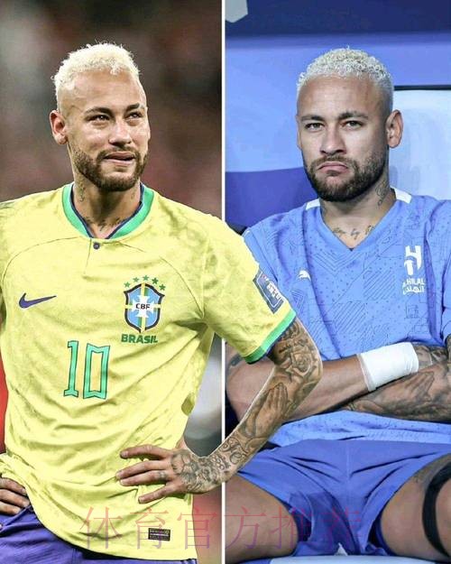 本届世界杯法国内马尔比赛解读全面分析